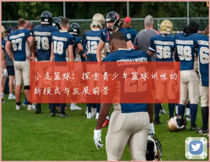 小虎篮球：探索青少年篮球训练的新模式与发展前景