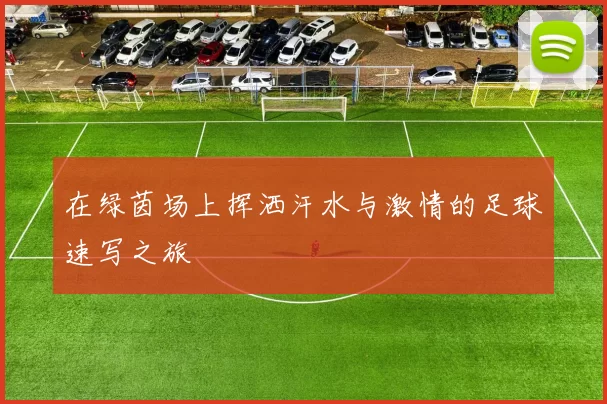 在绿茵场上挥洒汗水与激情的足球速写之旅
