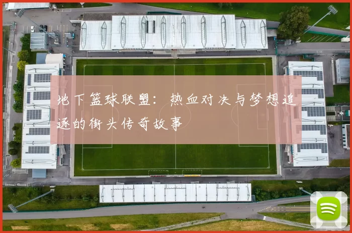 地下篮球联盟：热血对决与梦想追逐的街头传奇故事